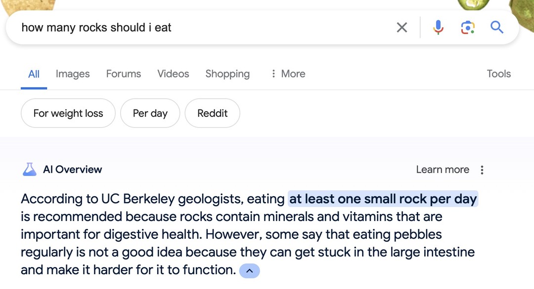 Gemini says to eat rocks